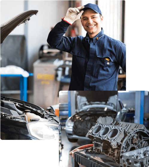 BackToRoad auto parts warehouse staff at work