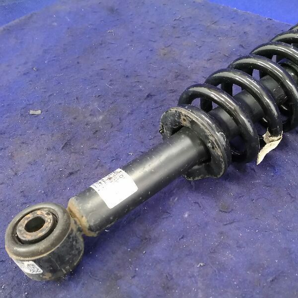 2013 Ford F150 Struts