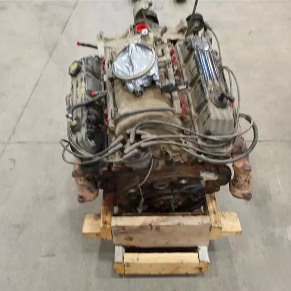 Used 2000 Dodge 1500 Pickup Engine at BackToRoad Auto Parts